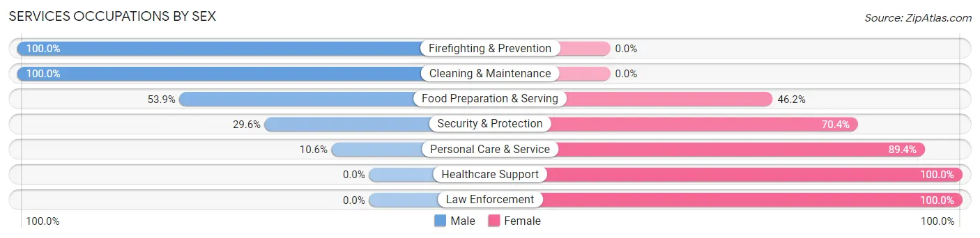Services Occupations by Sex in Zip Code 22967