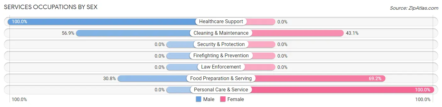 Services Occupations by Sex in Zip Code 23043