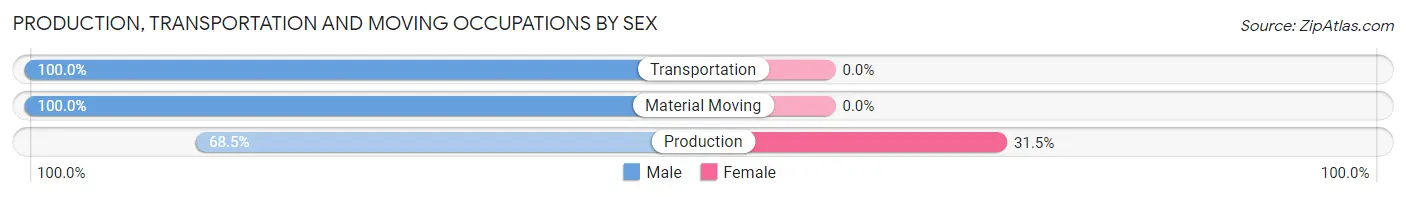 Production, Transportation and Moving Occupations by Sex in Zip Code 23168