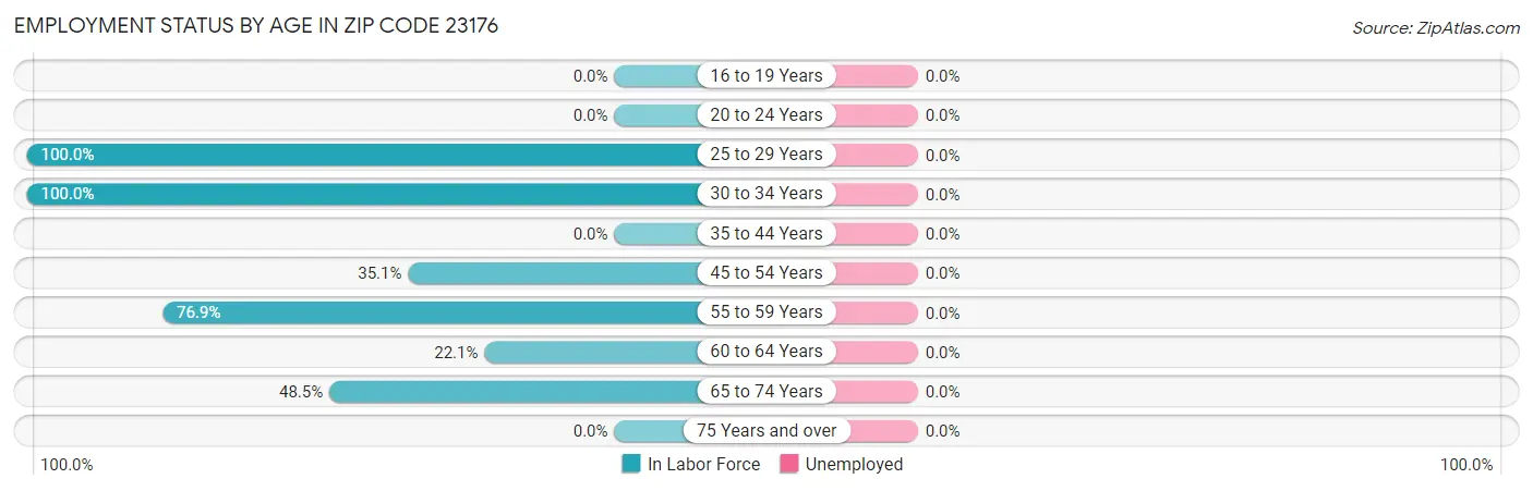 Employment Status by Age in Zip Code 23176