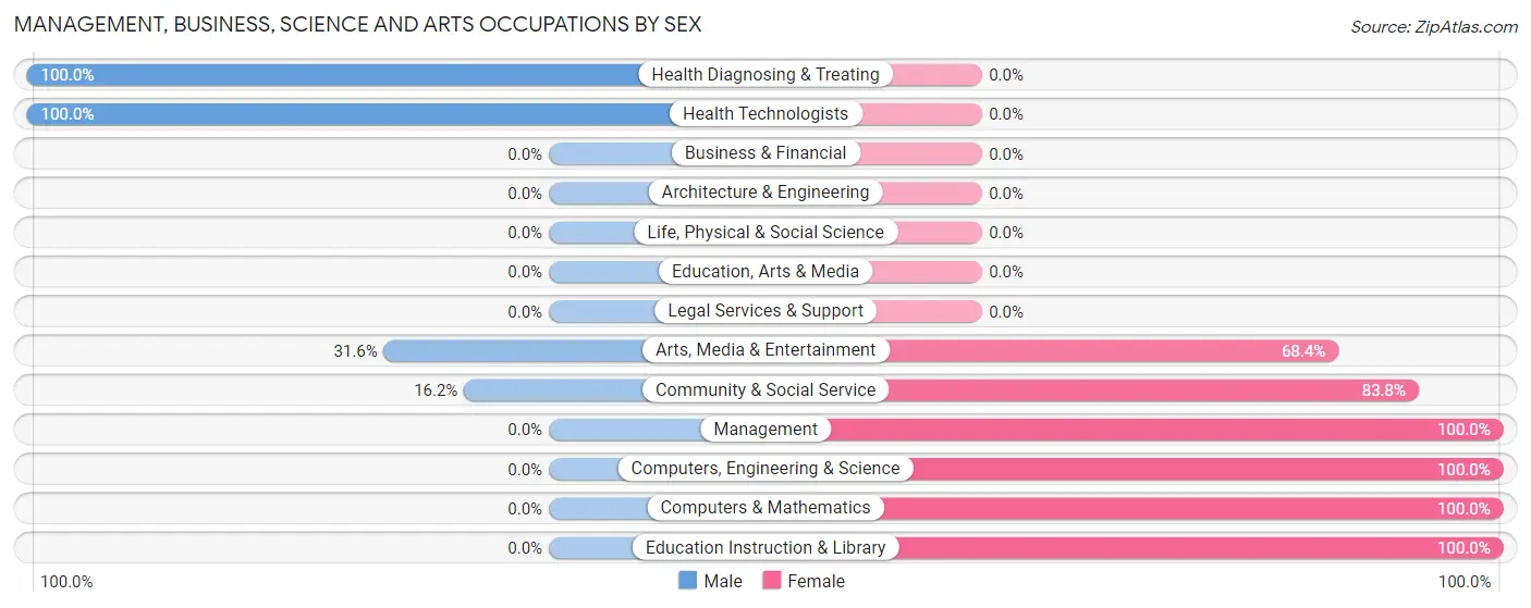 Management, Business, Science and Arts Occupations by Sex in Zip Code 23284