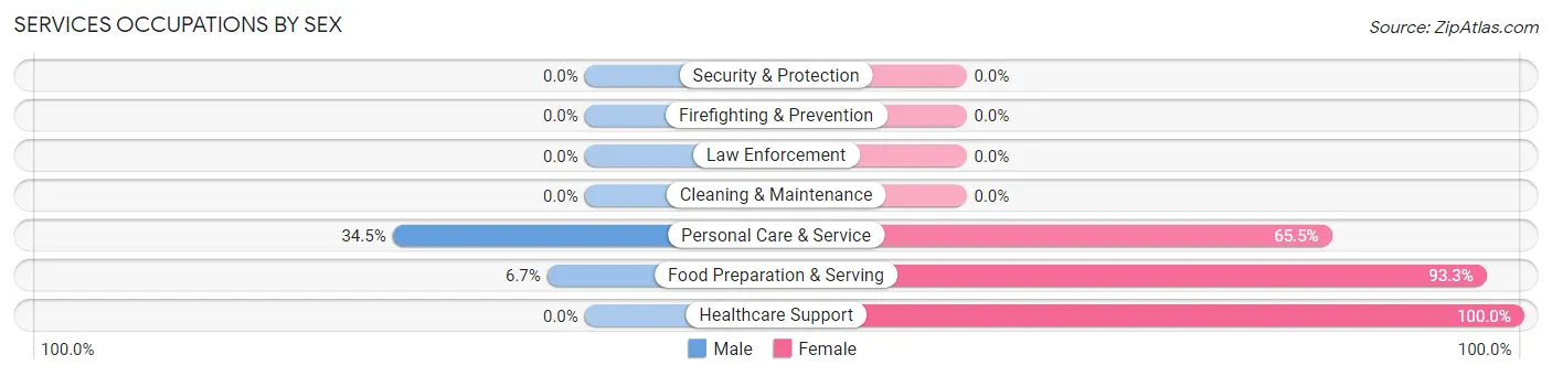 Services Occupations by Sex in Zip Code 23284