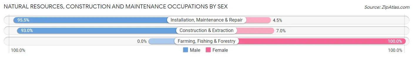 Natural Resources, Construction and Maintenance Occupations by Sex in Zip Code 23464