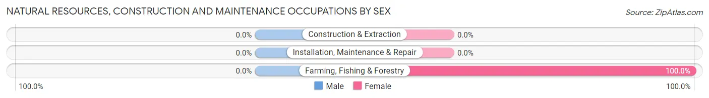 Natural Resources, Construction and Maintenance Occupations by Sex in Zip Code 23488