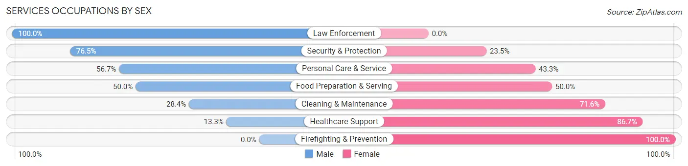 Services Occupations by Sex in Zip Code 23523