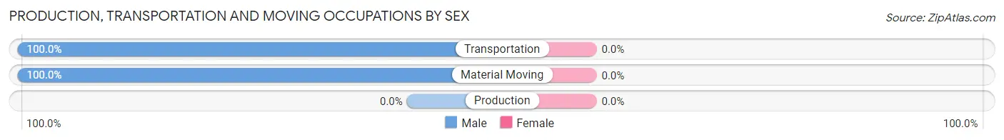 Production, Transportation and Moving Occupations by Sex in Zip Code 23943