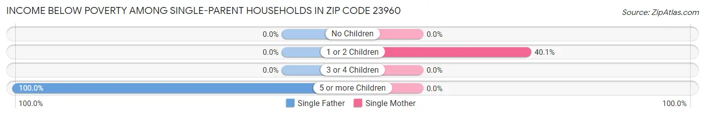 Income Below Poverty Among Single-Parent Households in Zip Code 23960