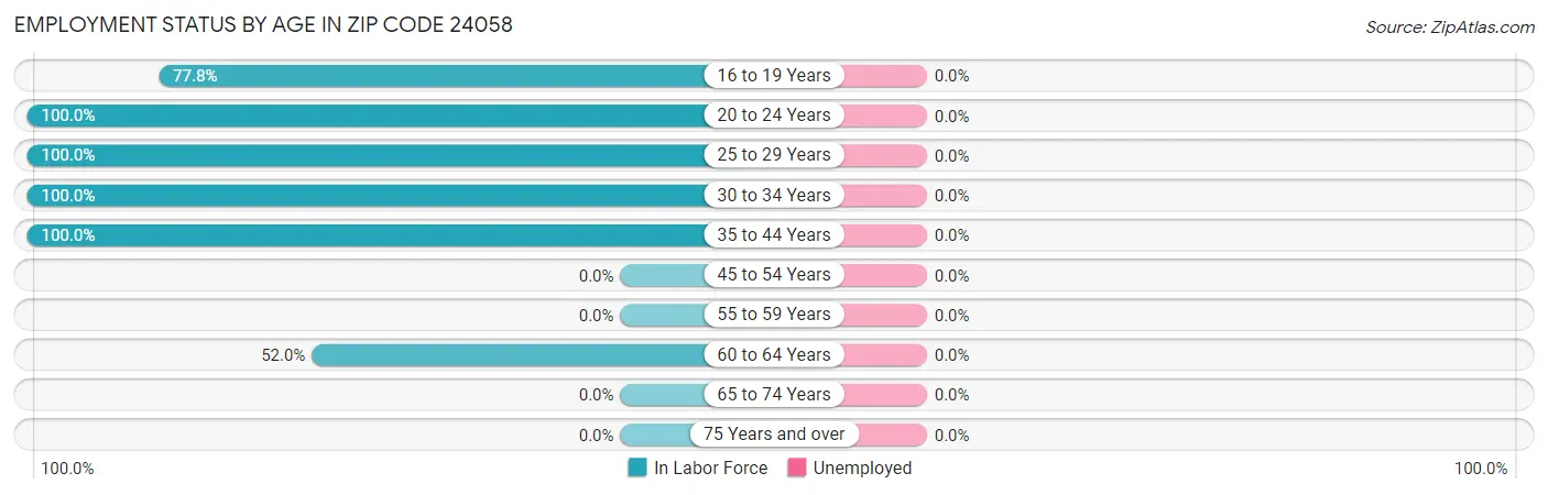 Employment Status by Age in Zip Code 24058
