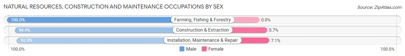 Natural Resources, Construction and Maintenance Occupations by Sex in Zip Code 24065