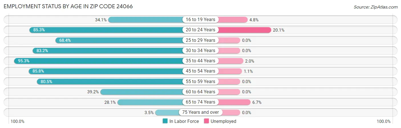 Employment Status by Age in Zip Code 24066