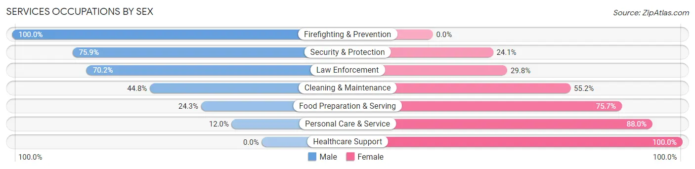 Services Occupations by Sex in Zip Code 24088