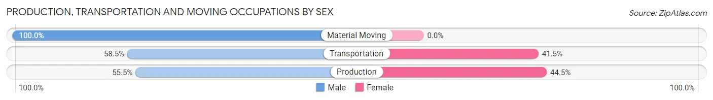 Production, Transportation and Moving Occupations by Sex in Zip Code 24091