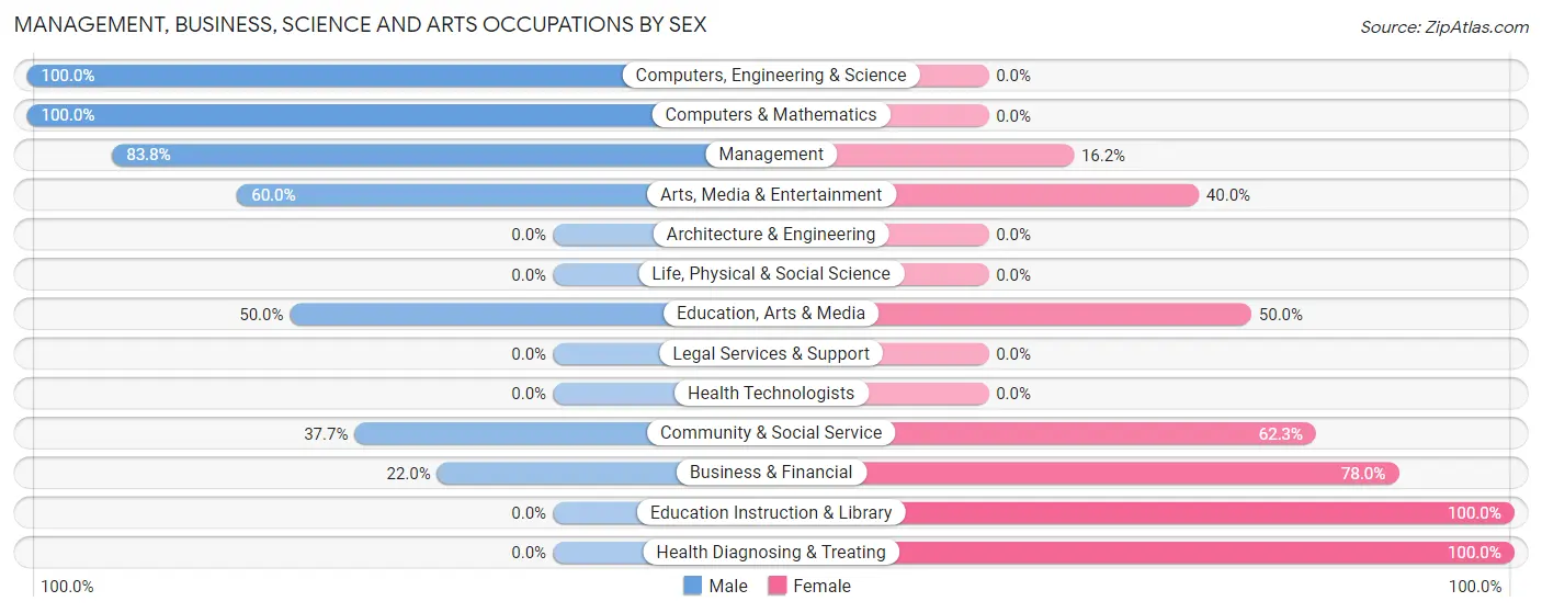 Management, Business, Science and Arts Occupations by Sex in Zip Code 24133