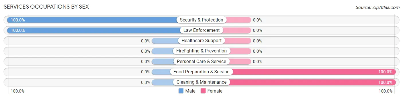 Services Occupations by Sex in Zip Code 24139