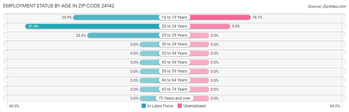 Employment Status by Age in Zip Code 24142