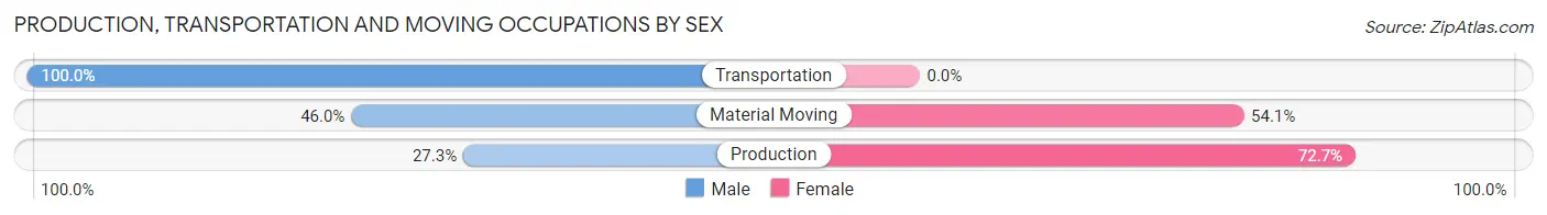 Production, Transportation and Moving Occupations by Sex in Zip Code 24142