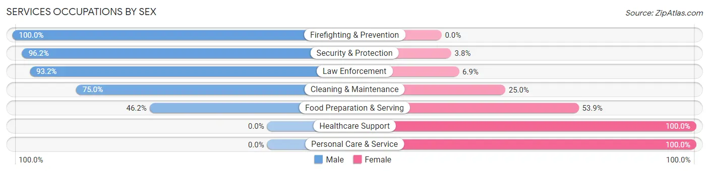Services Occupations by Sex in Zip Code 24228