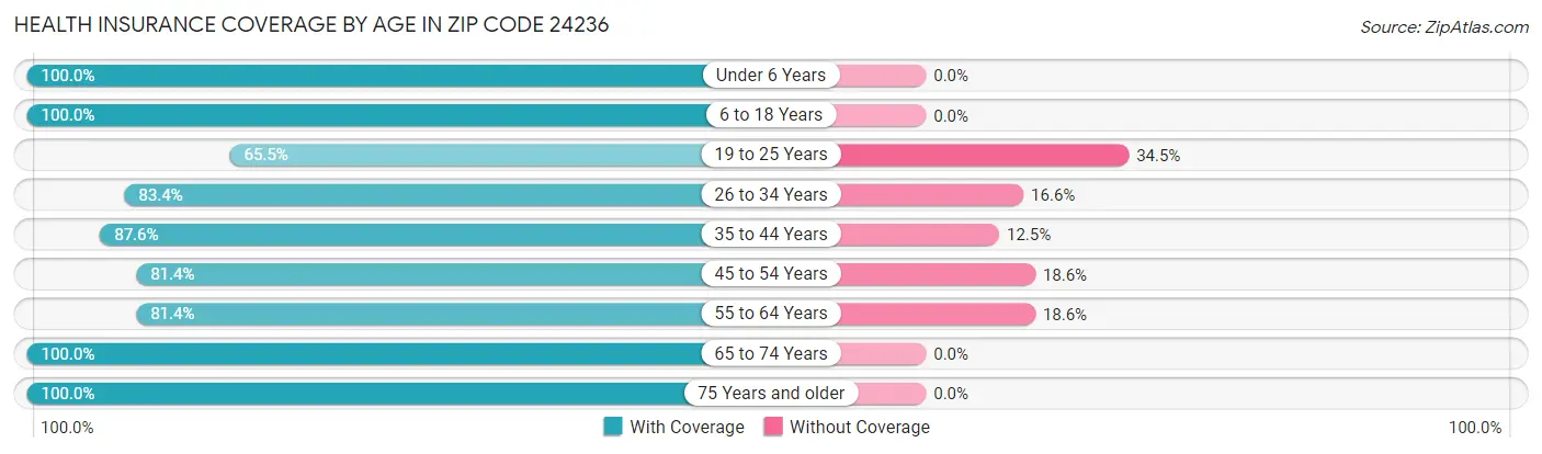 Health Insurance Coverage by Age in Zip Code 24236