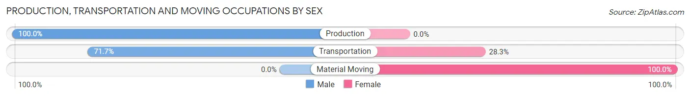Production, Transportation and Moving Occupations by Sex in Zip Code 24243