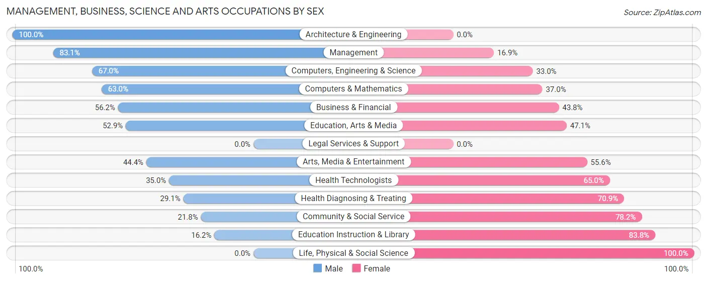 Management, Business, Science and Arts Occupations by Sex in Zip Code 24382