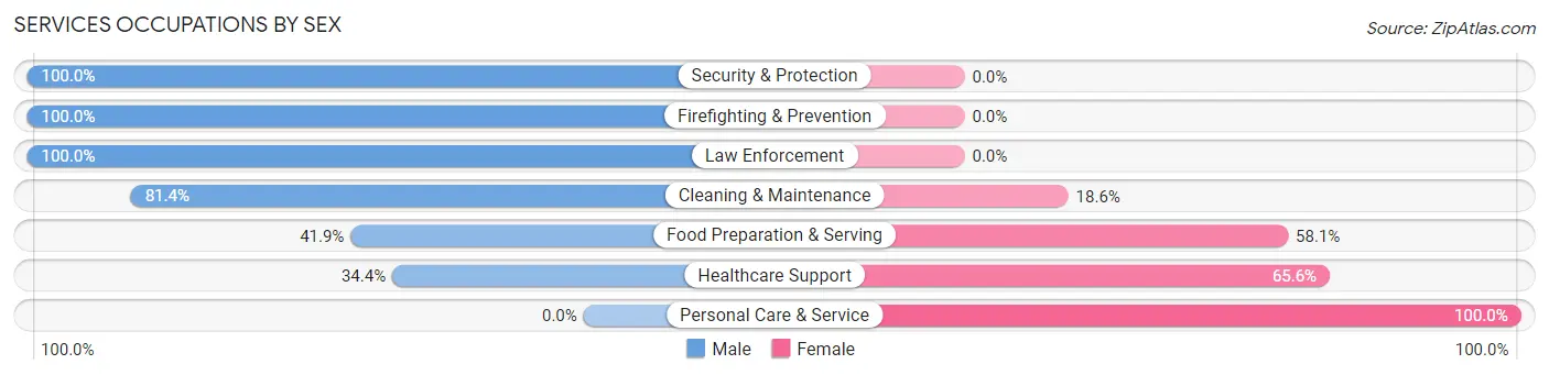 Services Occupations by Sex in Zip Code 24421