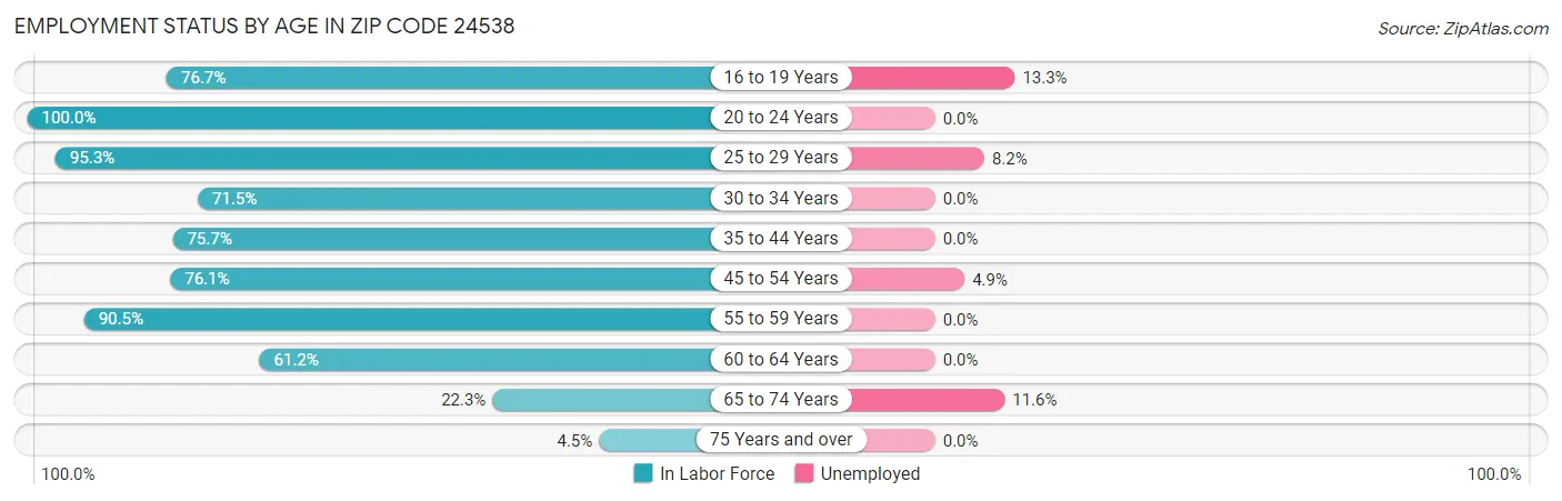 Employment Status by Age in Zip Code 24538