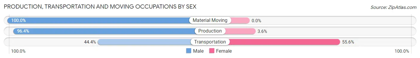 Production, Transportation and Moving Occupations by Sex in Zip Code 24538