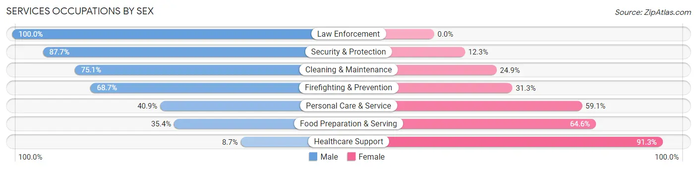 Services Occupations by Sex in Zip Code 24540