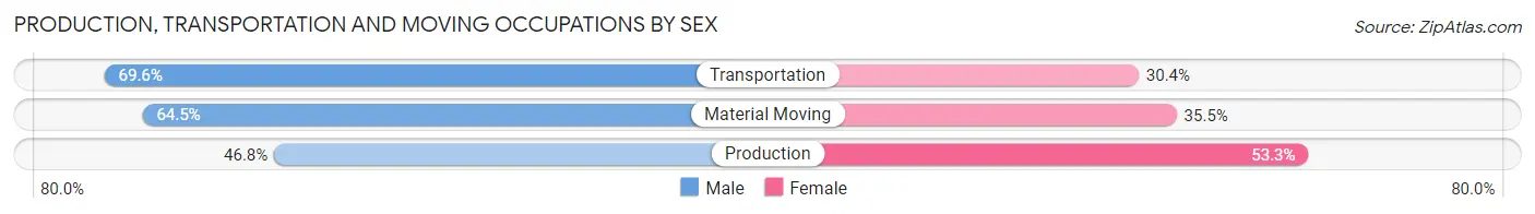 Production, Transportation and Moving Occupations by Sex in Zip Code 24558