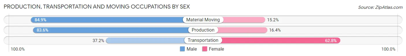 Production, Transportation and Moving Occupations by Sex in Zip Code 24574