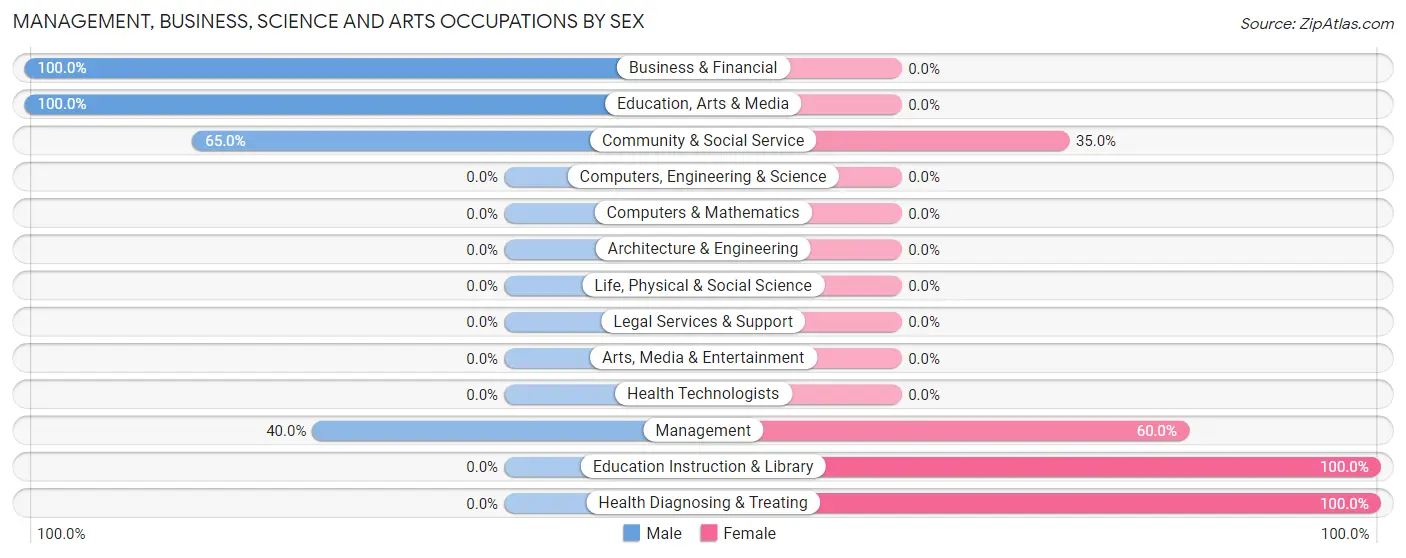 Management, Business, Science and Arts Occupations by Sex in Zip Code 24580