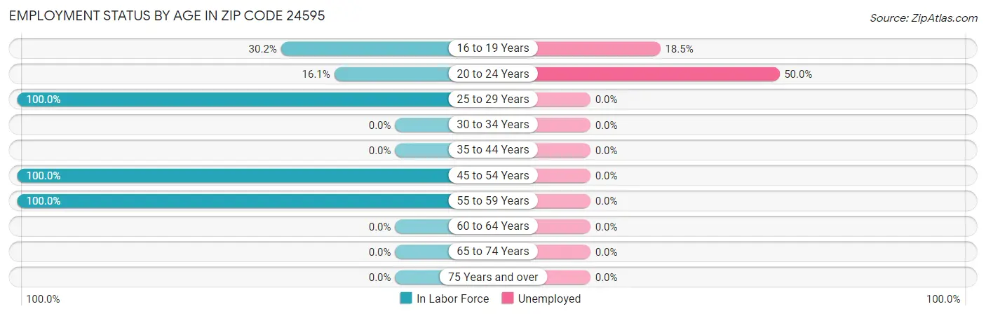 Employment Status by Age in Zip Code 24595