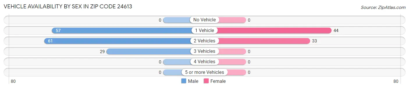Vehicle Availability by Sex in Zip Code 24613
