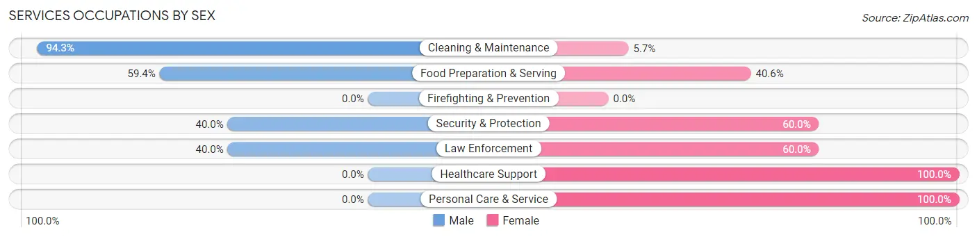 Services Occupations by Sex in Zip Code 24630