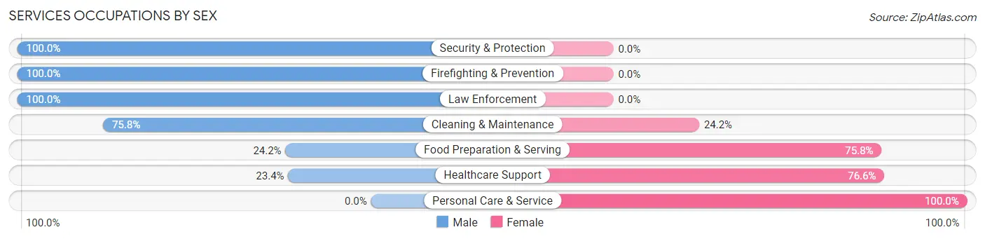 Services Occupations by Sex in Zip Code 24641