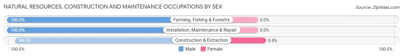 Natural Resources, Construction and Maintenance Occupations by Sex in Zip Code 24656