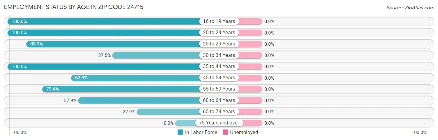 Employment Status by Age in Zip Code 24715