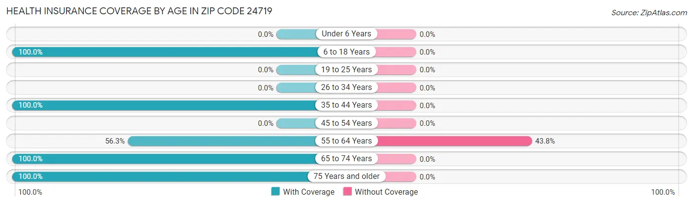 Health Insurance Coverage by Age in Zip Code 24719