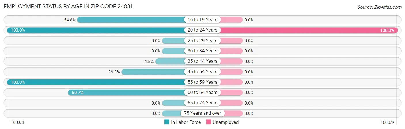Employment Status by Age in Zip Code 24831