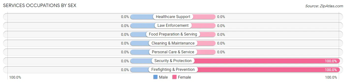 Services Occupations by Sex in Zip Code 24869