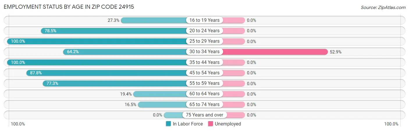 Employment Status by Age in Zip Code 24915