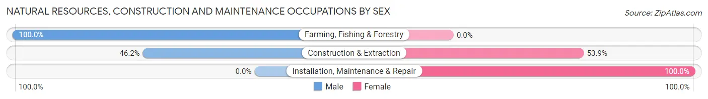 Natural Resources, Construction and Maintenance Occupations by Sex in Zip Code 24915