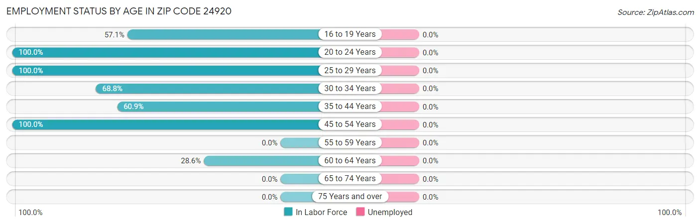 Employment Status by Age in Zip Code 24920