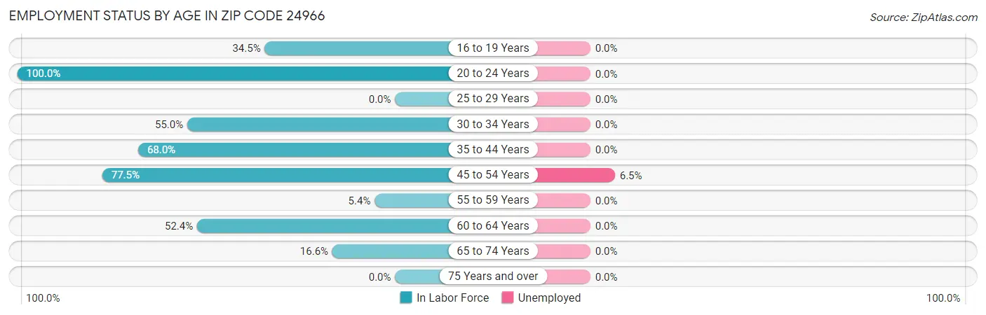 Employment Status by Age in Zip Code 24966