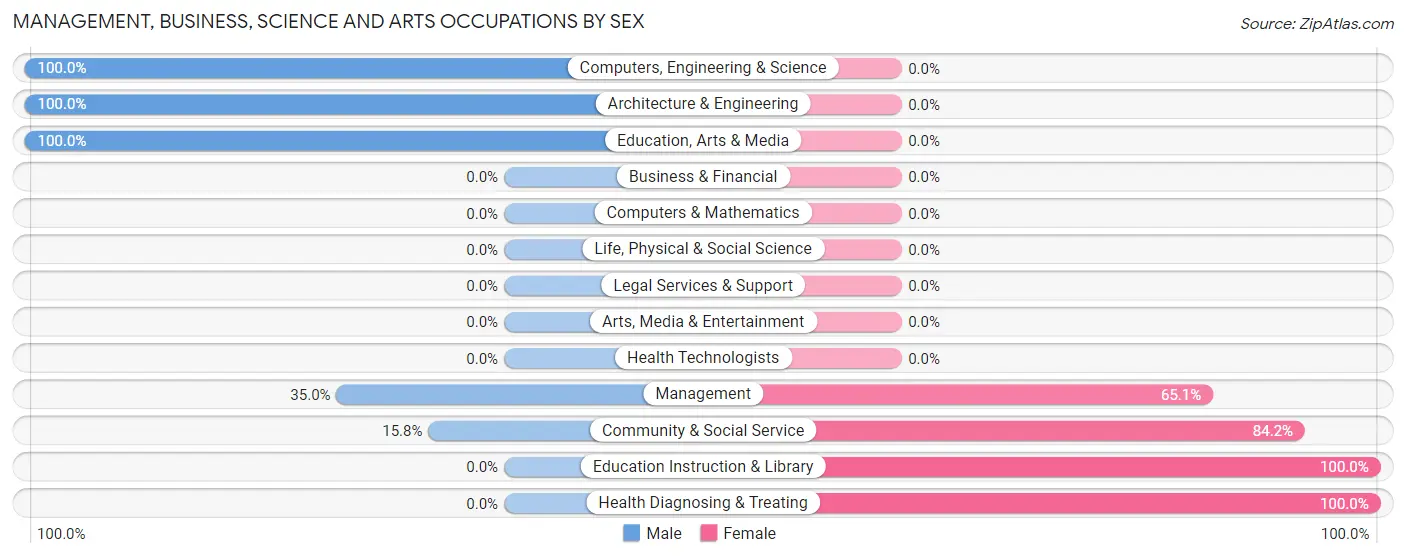 Management, Business, Science and Arts Occupations by Sex in Zip Code 24966
