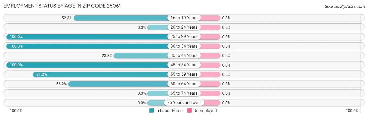 Employment Status by Age in Zip Code 25061