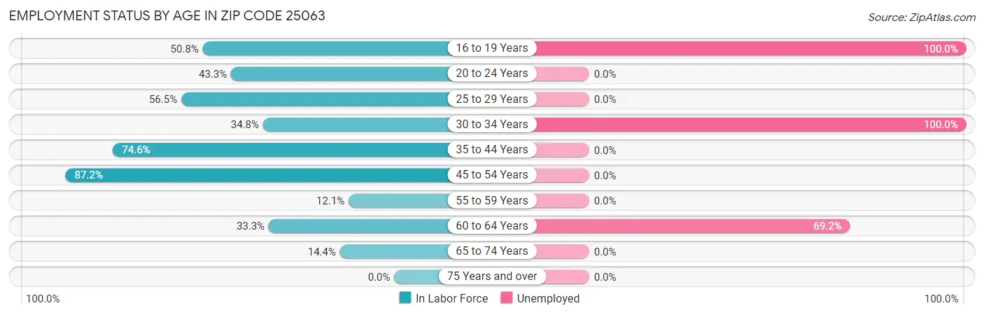 Employment Status by Age in Zip Code 25063