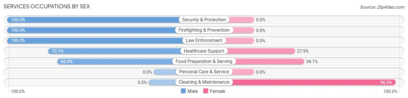 Services Occupations by Sex in Zip Code 25130