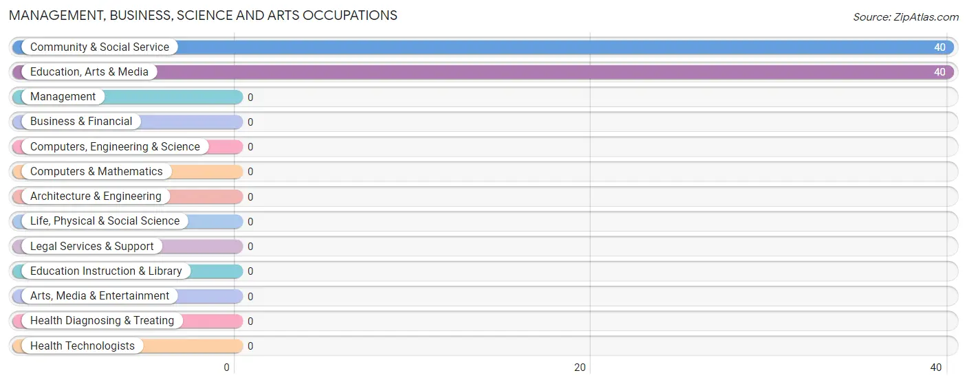 Management, Business, Science and Arts Occupations in Zip Code 25201