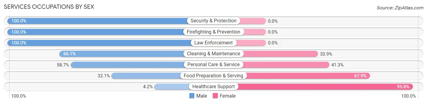 Services Occupations by Sex in Zip Code 25387